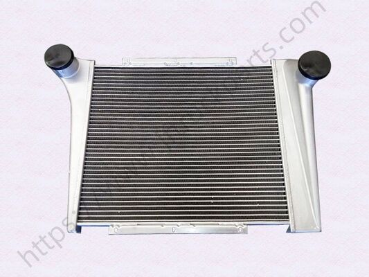 SHAC F2000 F3000 X3000 H3000 X5000 X6000 L5000 pieza de repuesto de camión Supercarga Intercooler DZ9218530101